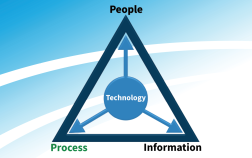 Digital Transformation Process - Website
