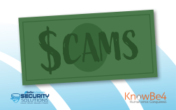 SOTW - KnowBe4 Financial Scams - Website