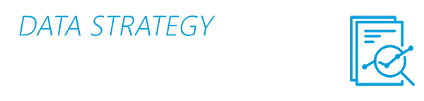 DSG - Data Strategy Framework