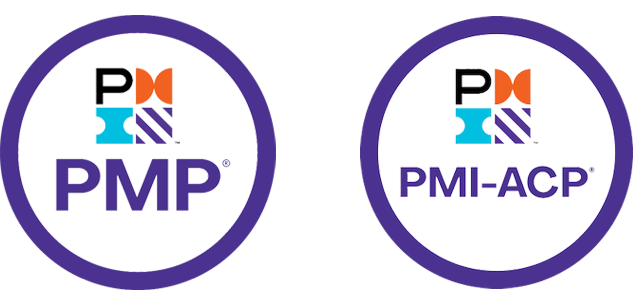 pmi logo png