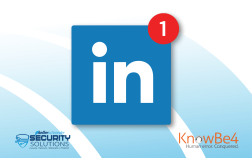 SOTW - KnowBe4 Fake LinkedIn Jobs - Website