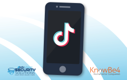 STOW - KnowBe4 TikTok Filter Scams - Website